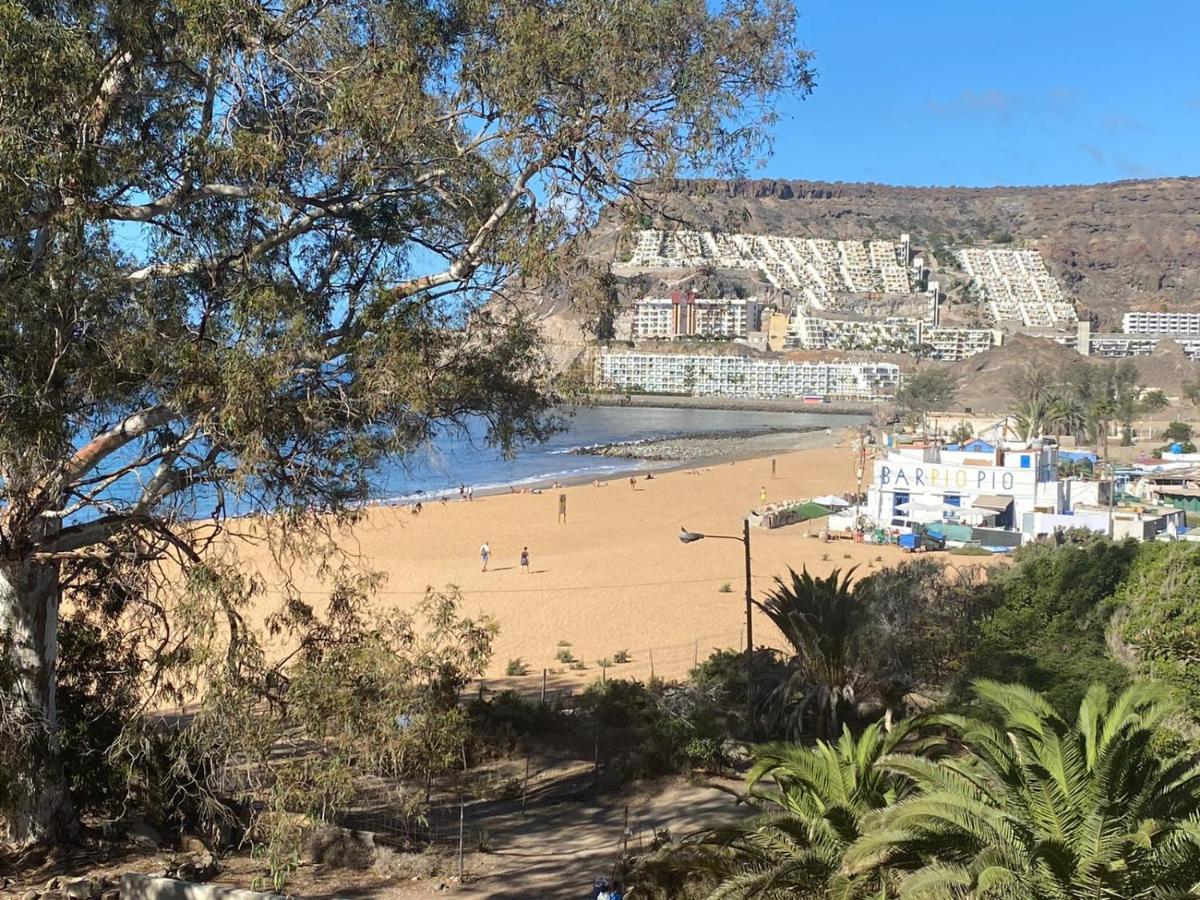 Zen Home Tauro La Playa de Tauro エクステリア 写真